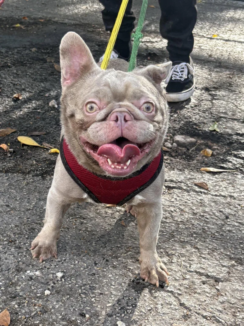 Rosalina thumbnail 3