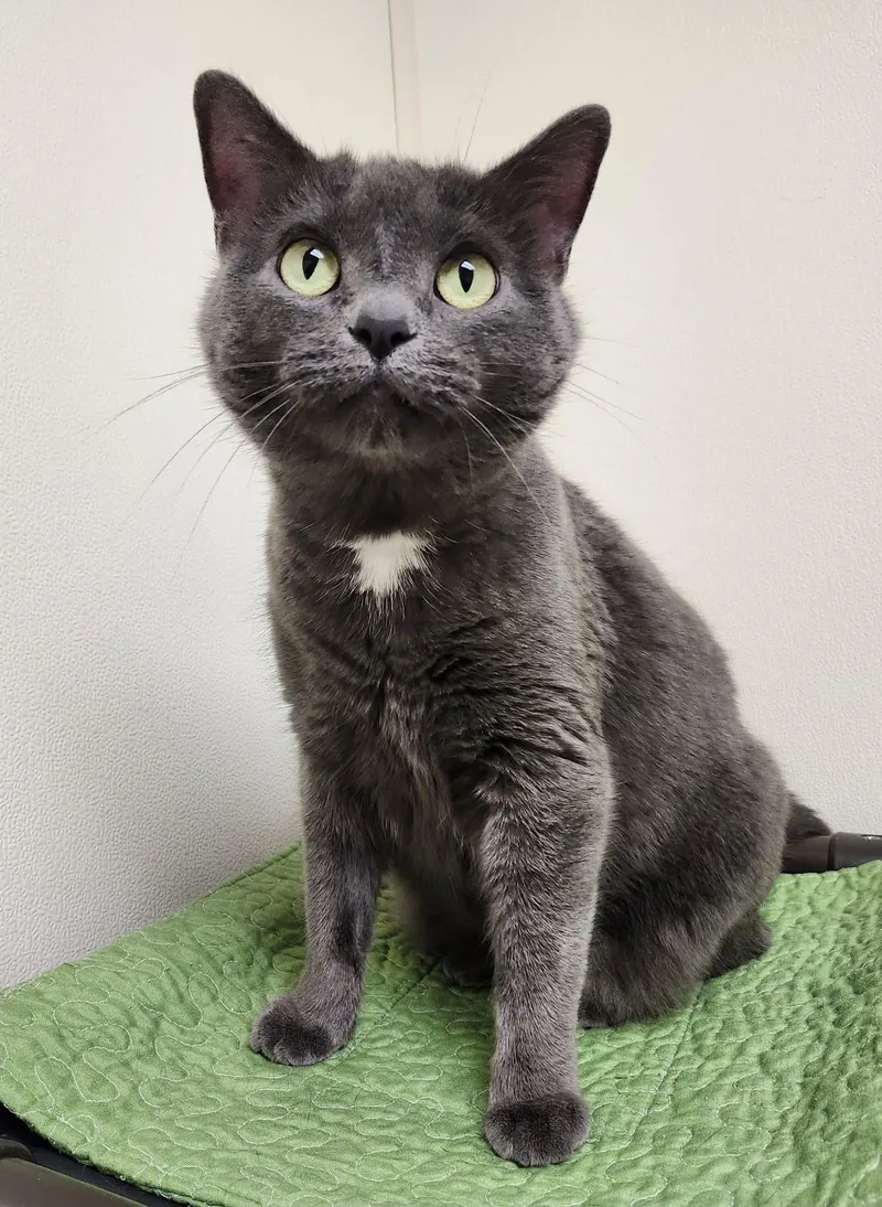 Serena Snuggly Lovergirl!