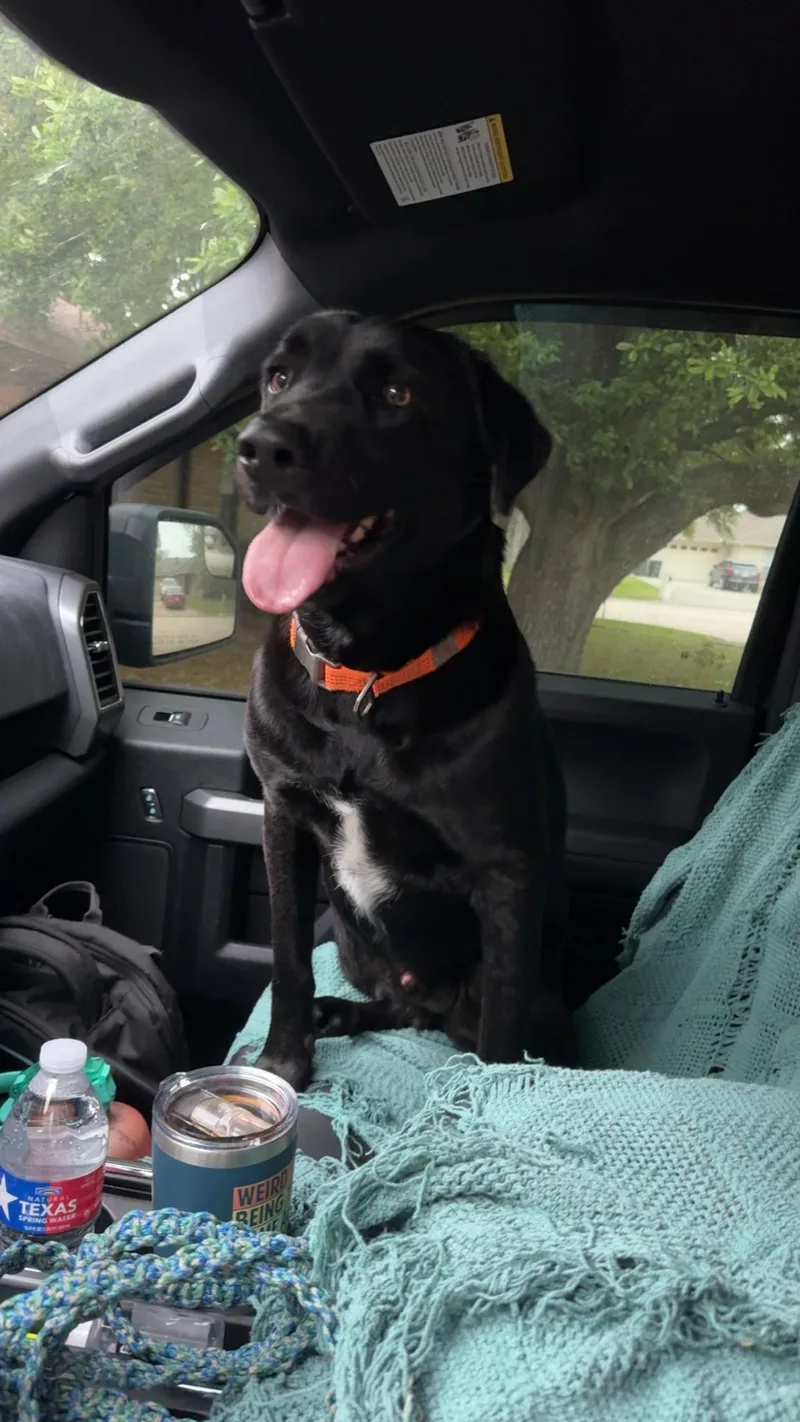 Thunderbolt thumbnail 2