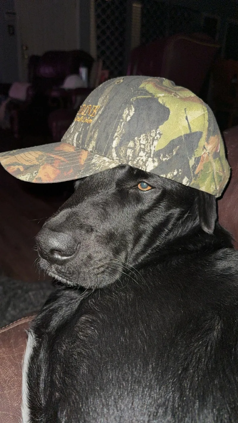 Thunderbolt thumbnail 3