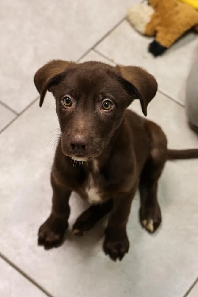 Titanium thumbnail 2