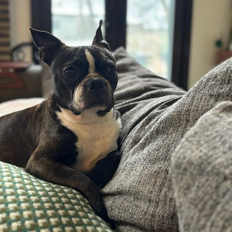 Bruce In Ia thumbnail 3