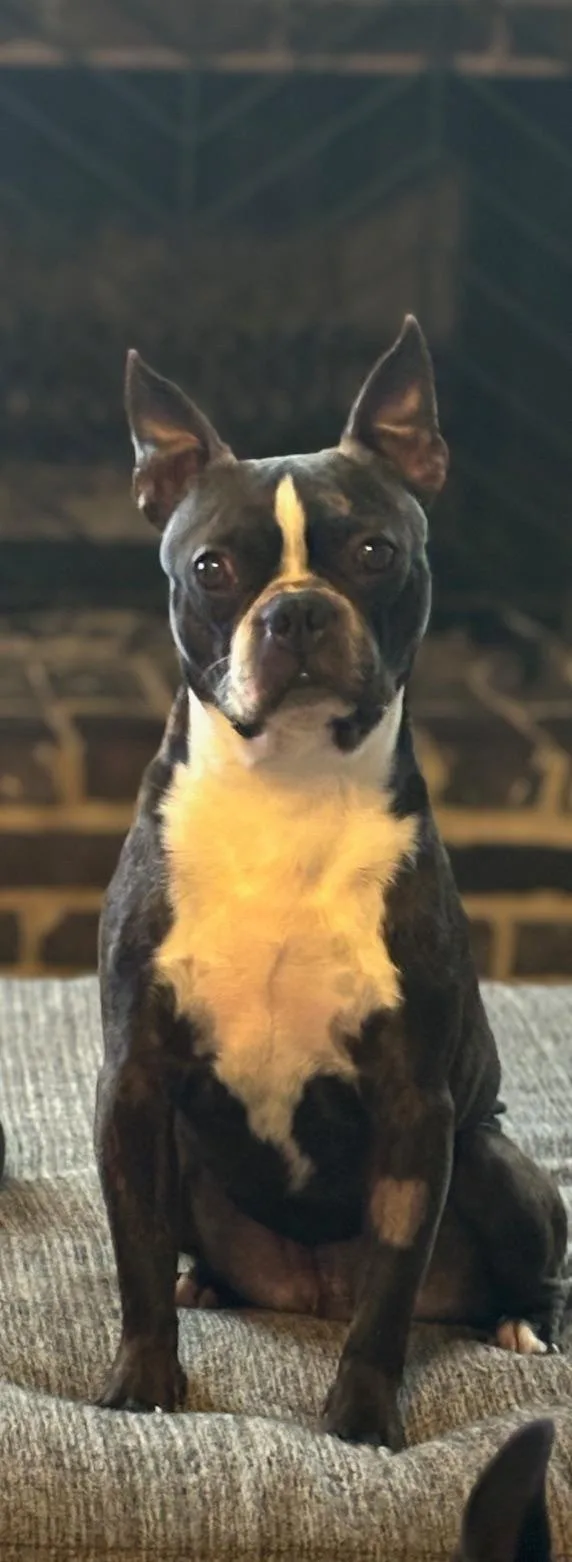 Bruce In Ia thumbnail 6