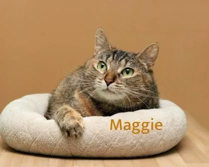 Maggie