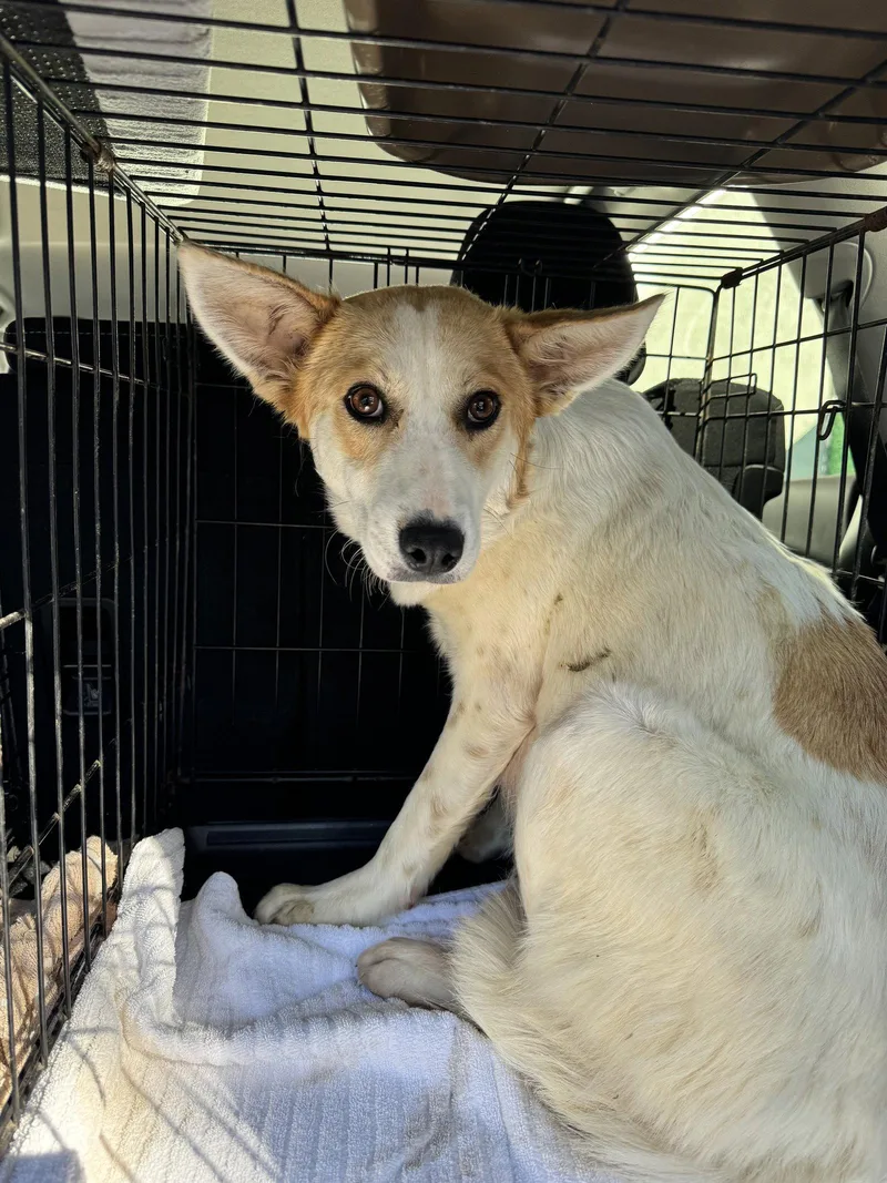 Sunshine Fh thumbnail 2