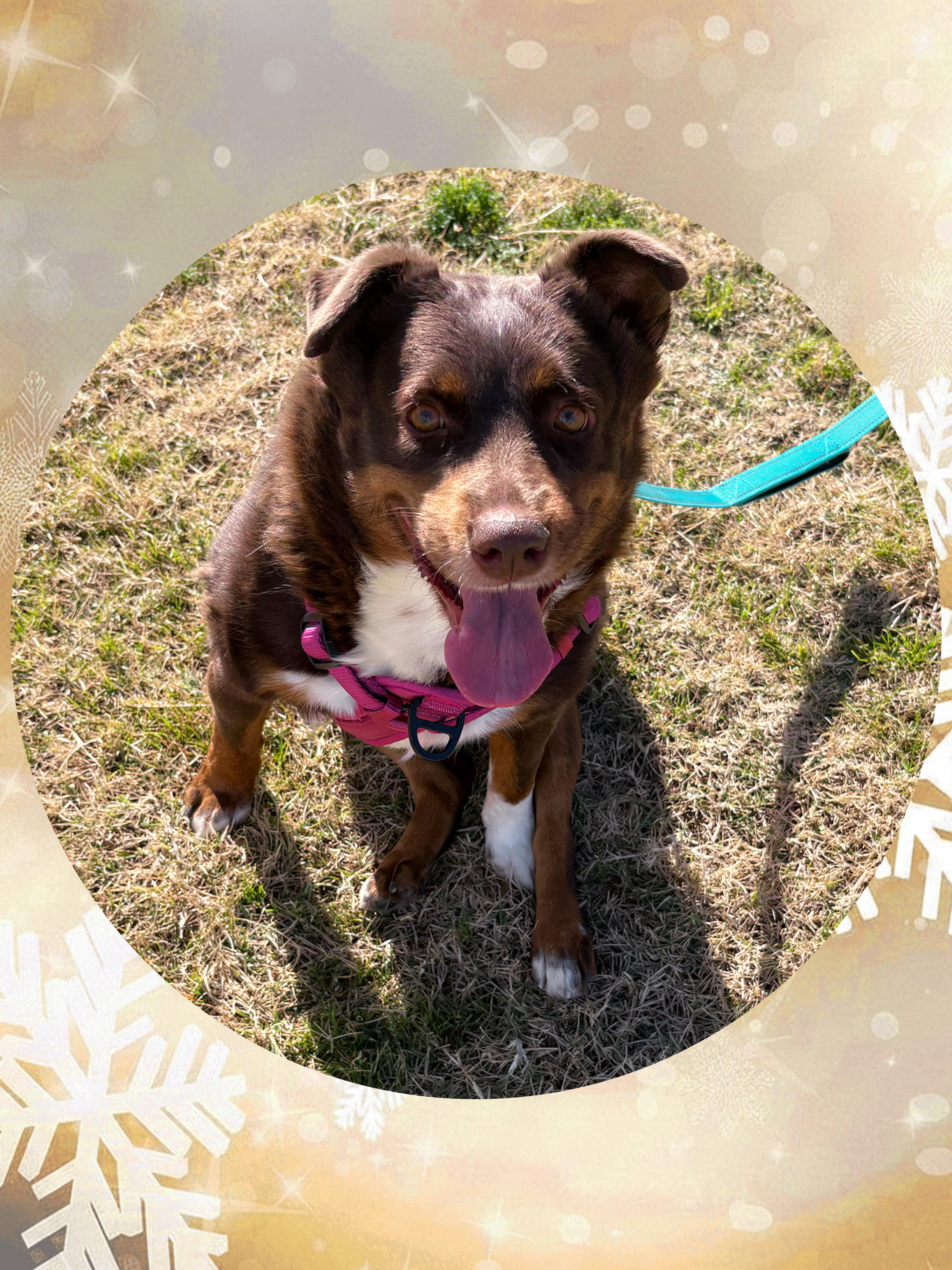 Darling Debbie thumbnail 2