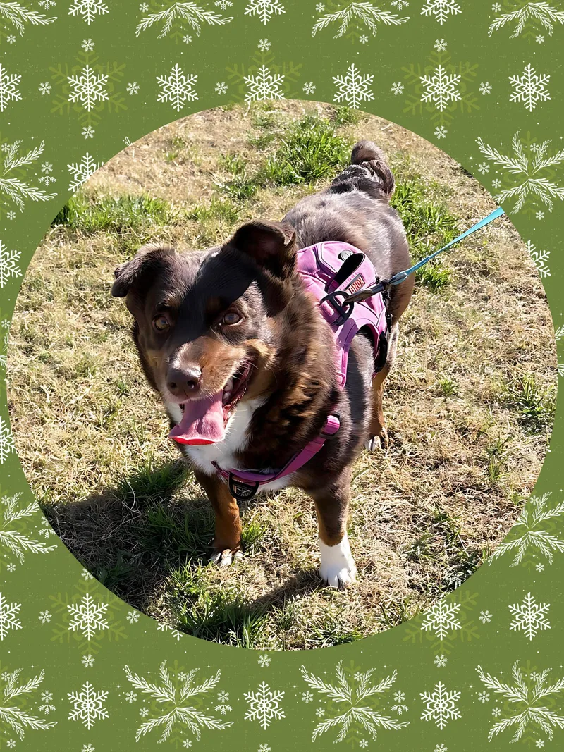 Darling Debbie thumbnail 3