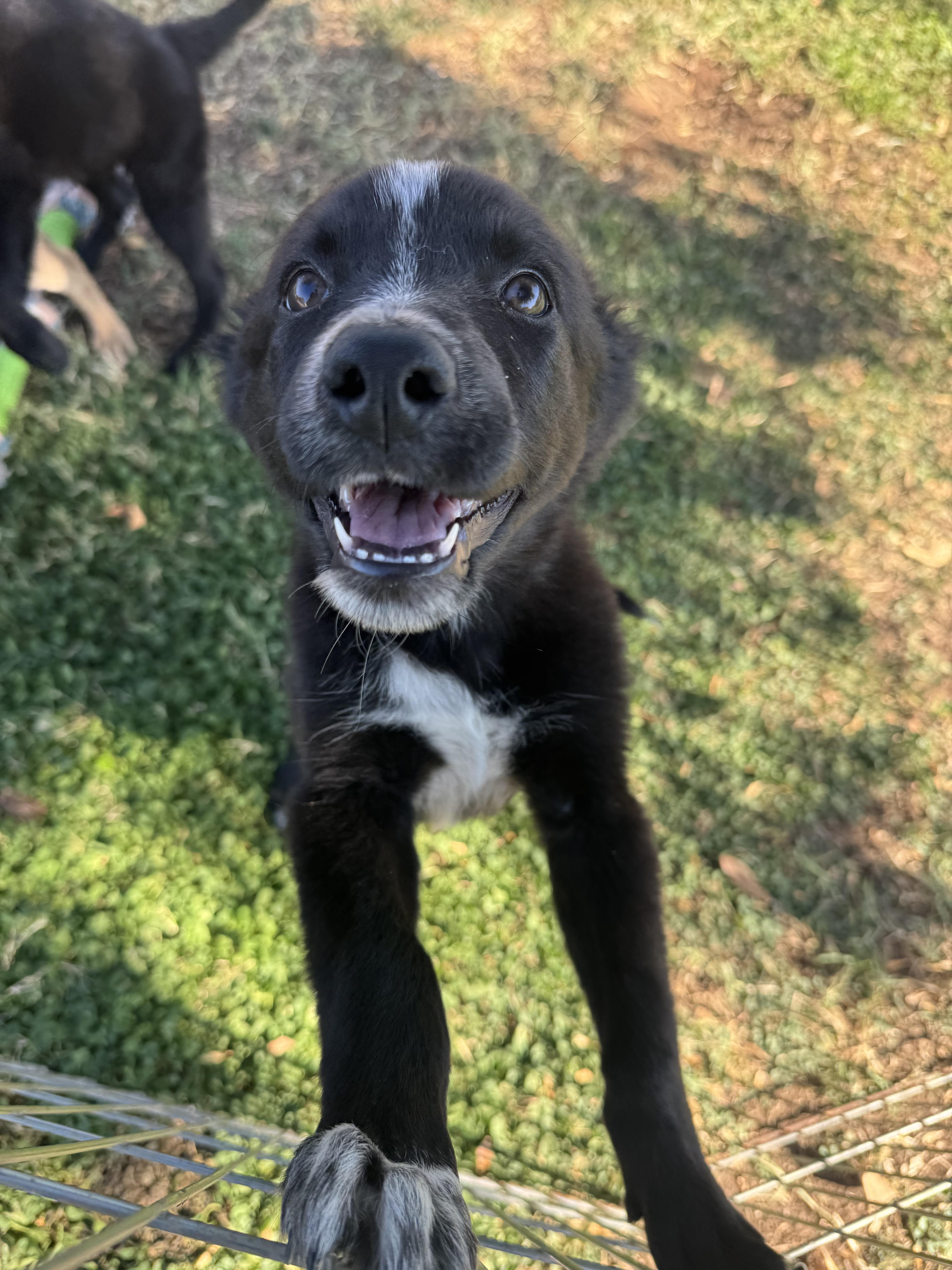 Reba thumbnail 3