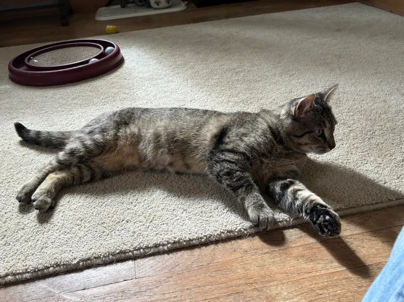 Breezeway thumbnail 2