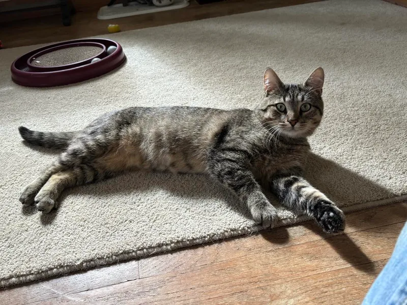 Breezeway thumbnail 3