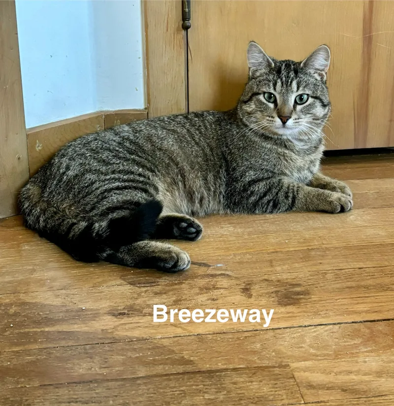 Breezeway