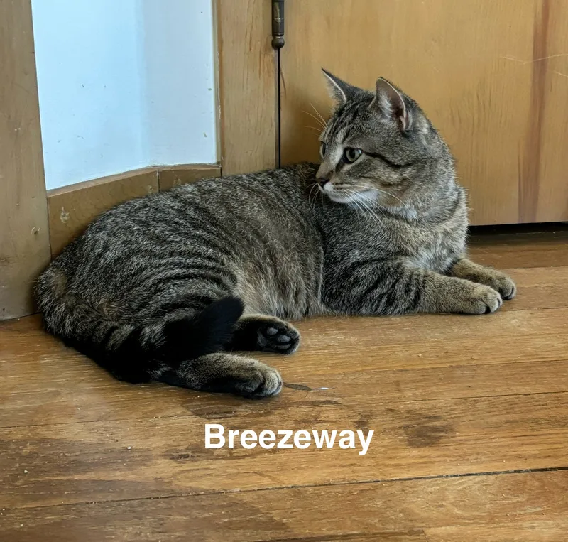 Breezeway thumbnail 4