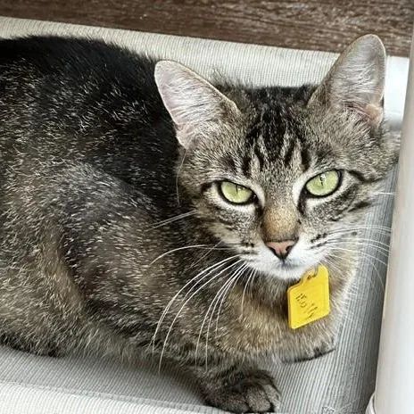 Molly Friendly Former