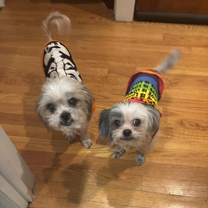 Geno Bonded With Anna