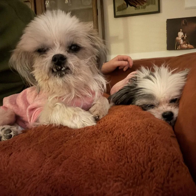 Geno Bonded With Anna thumbnail 2