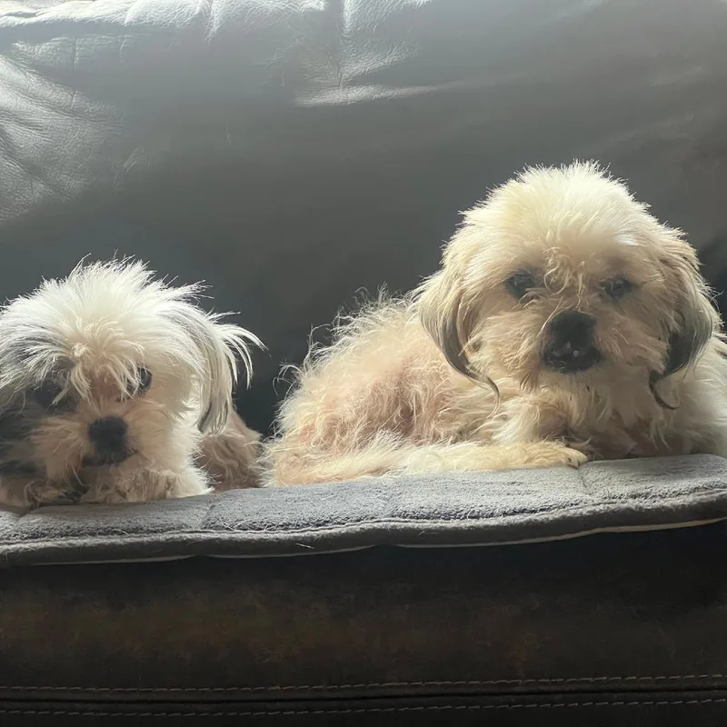 Geno Bonded With Anna thumbnail 3