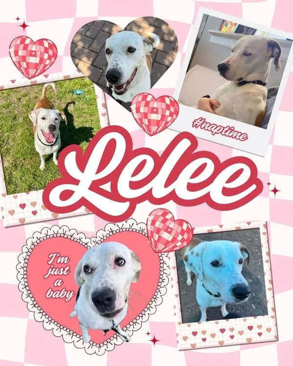 Lelee thumbnail 3