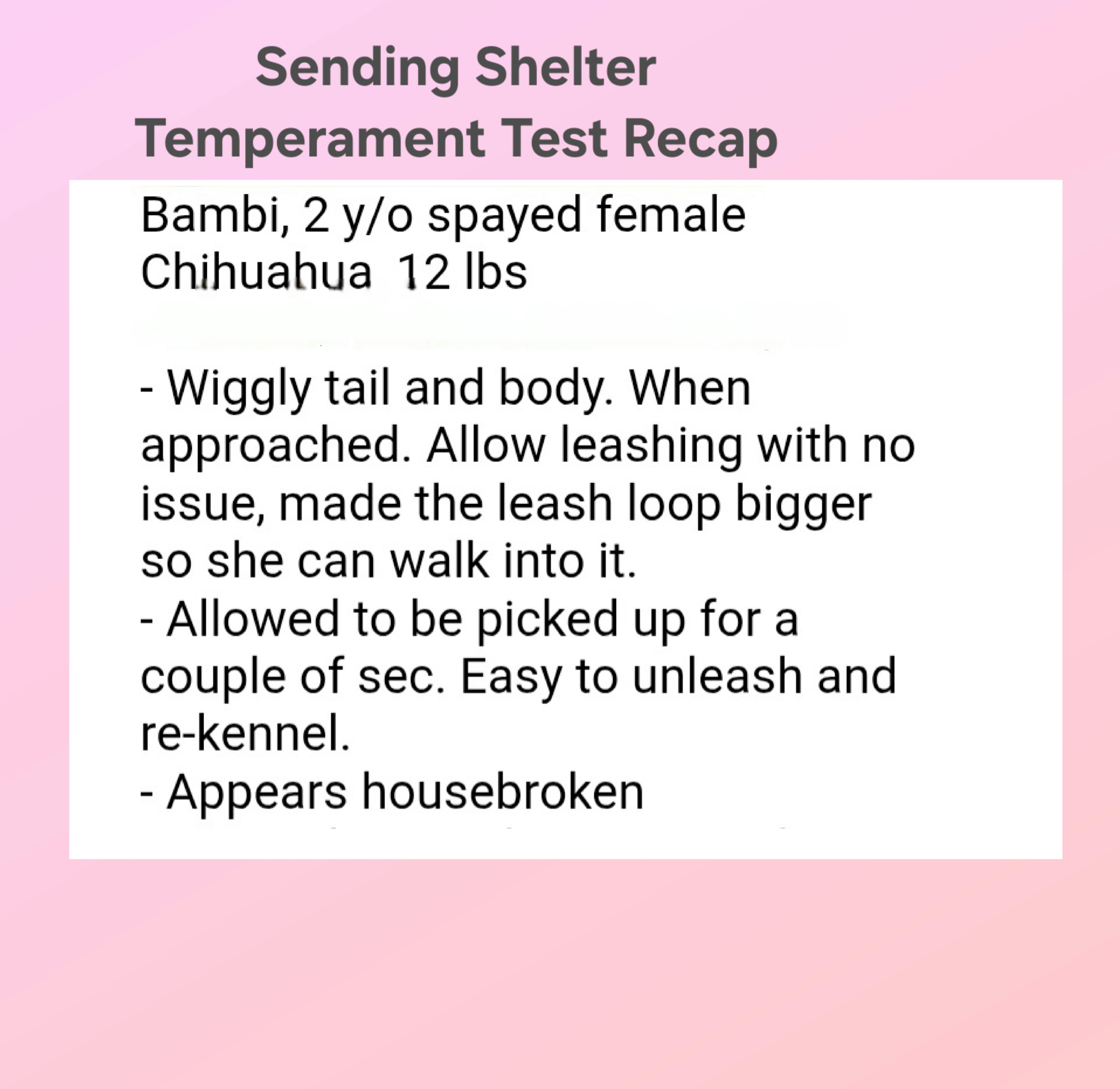 Bambi thumbnail 4