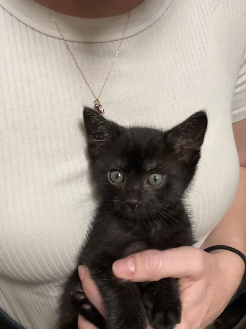 Carl & Mango thumbnail 3