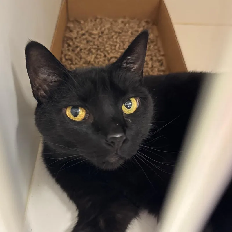 Bobby Rodriguez thumbnail 3