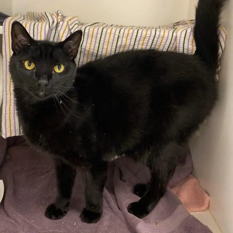 Bobby Rodriguez thumbnail 5