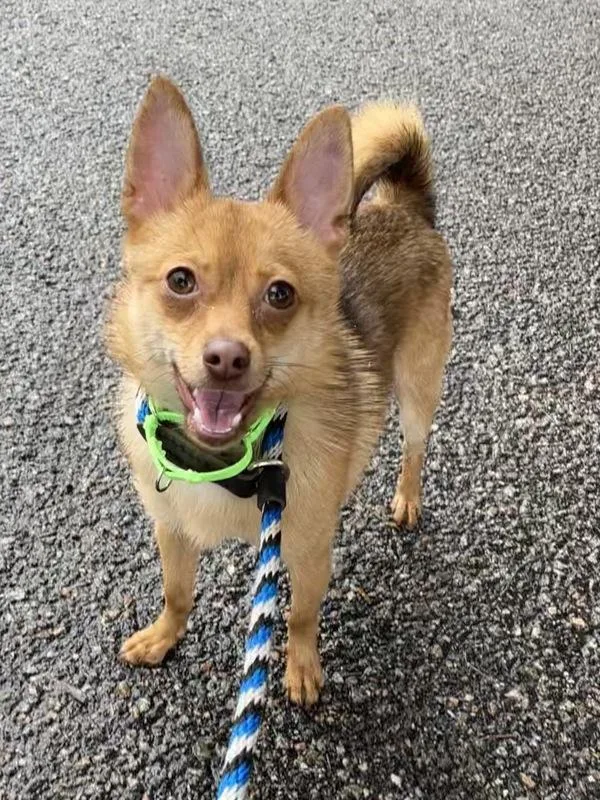 Terrence thumbnail 2