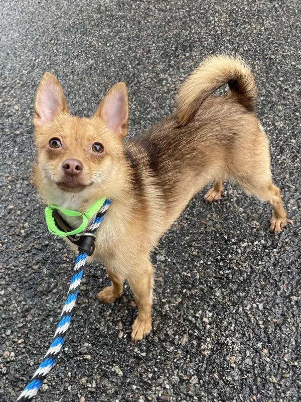 Terrence thumbnail 3