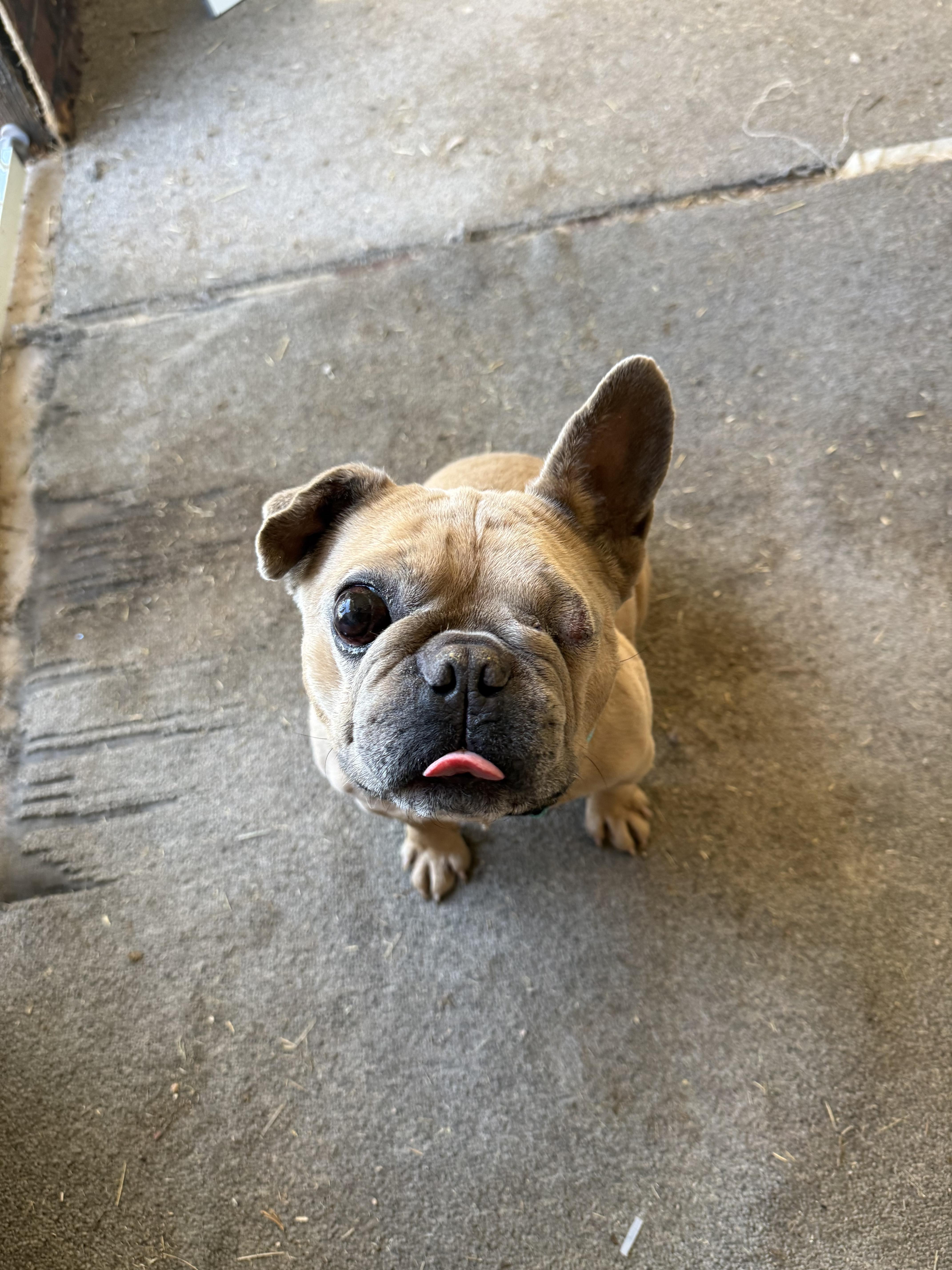 Paco