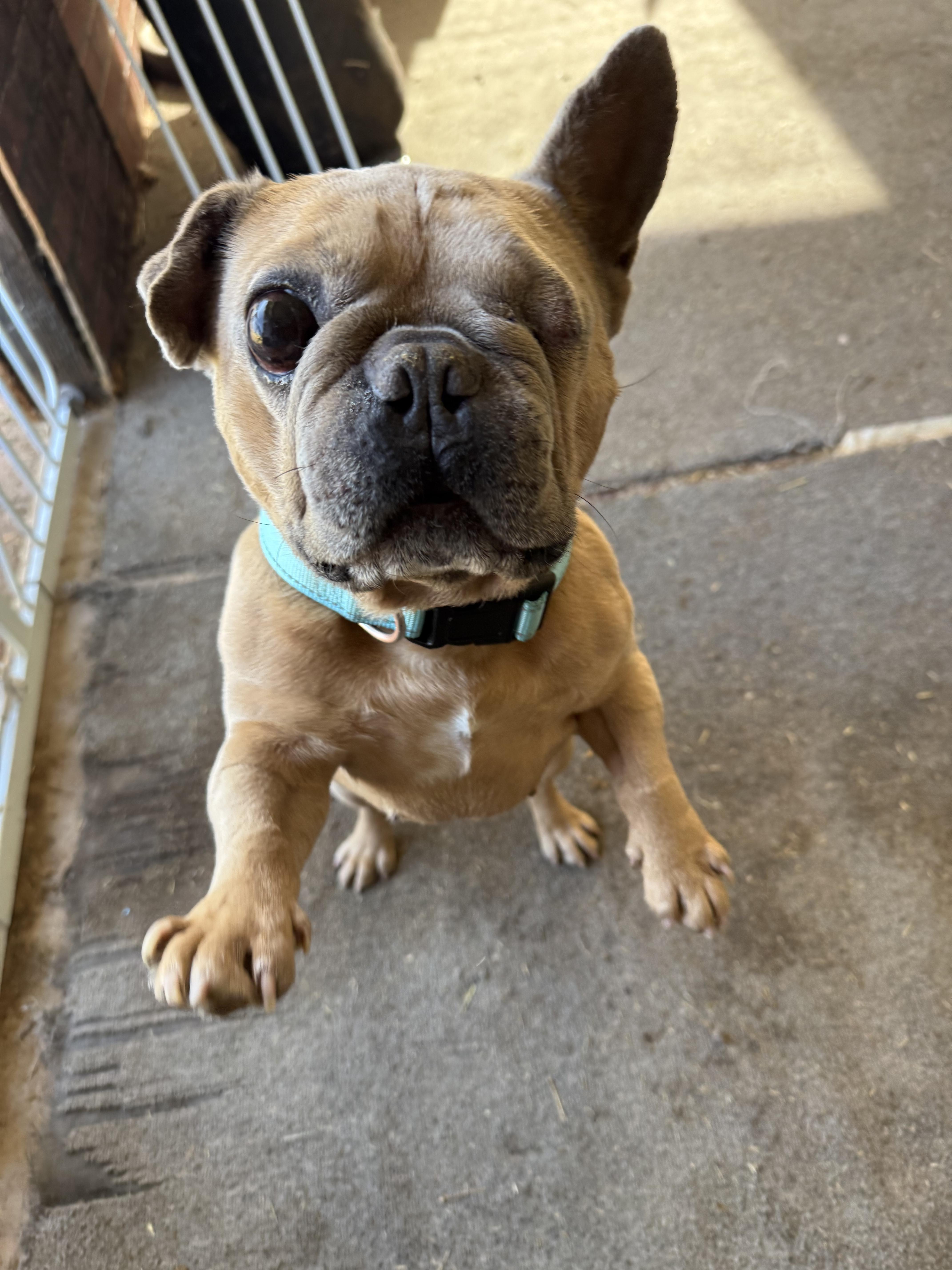 Paco thumbnail 5