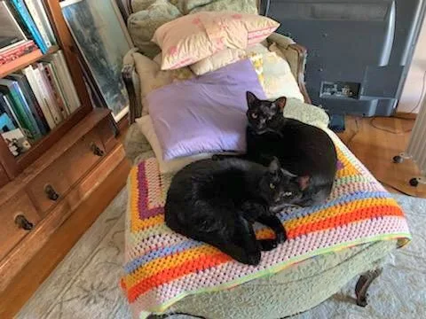 Bb  Delilah And thumbnail 2