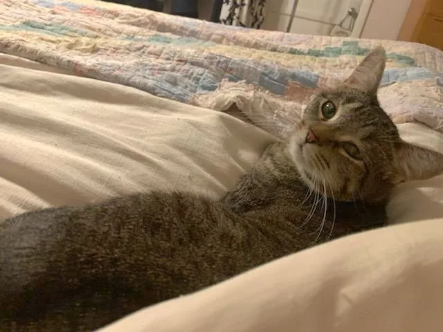 Bb  Delilah And thumbnail 3