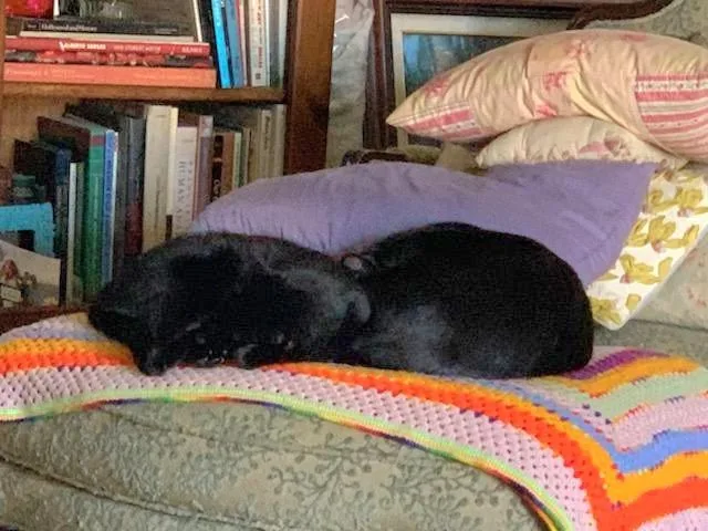 Bb  Delilah And thumbnail 5