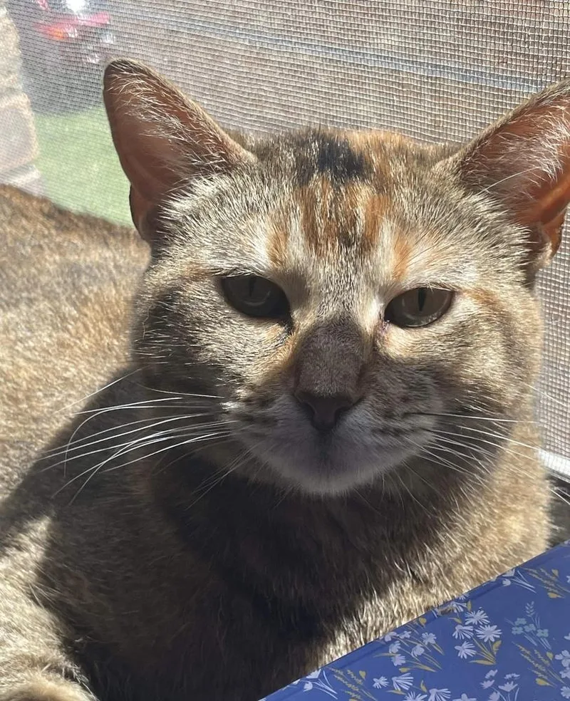 Charlotte thumbnail 3