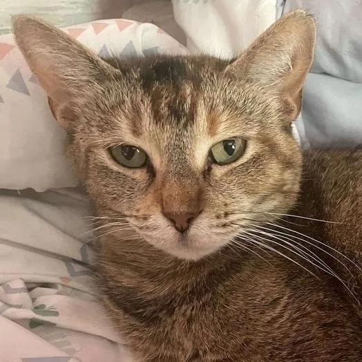 Charlotte thumbnail 4