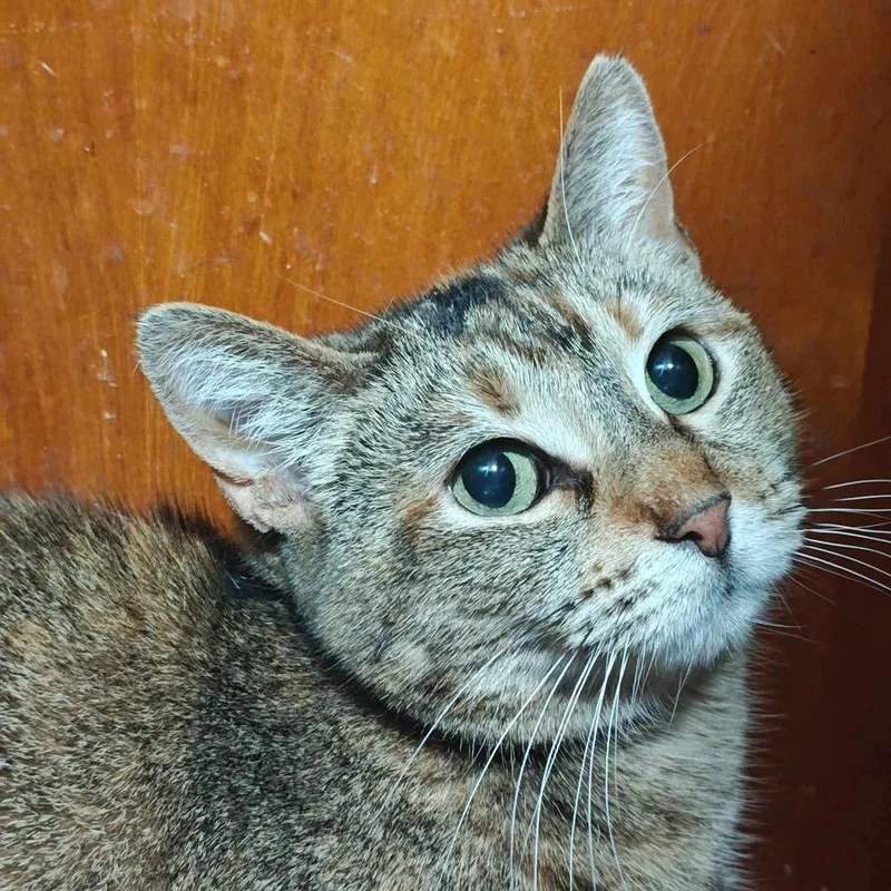 Charlotte thumbnail 5