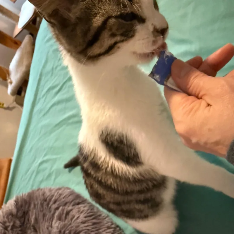 Maybelline thumbnail 2