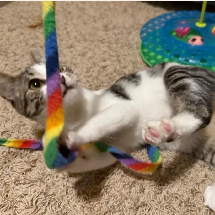 Maybelline thumbnail 5