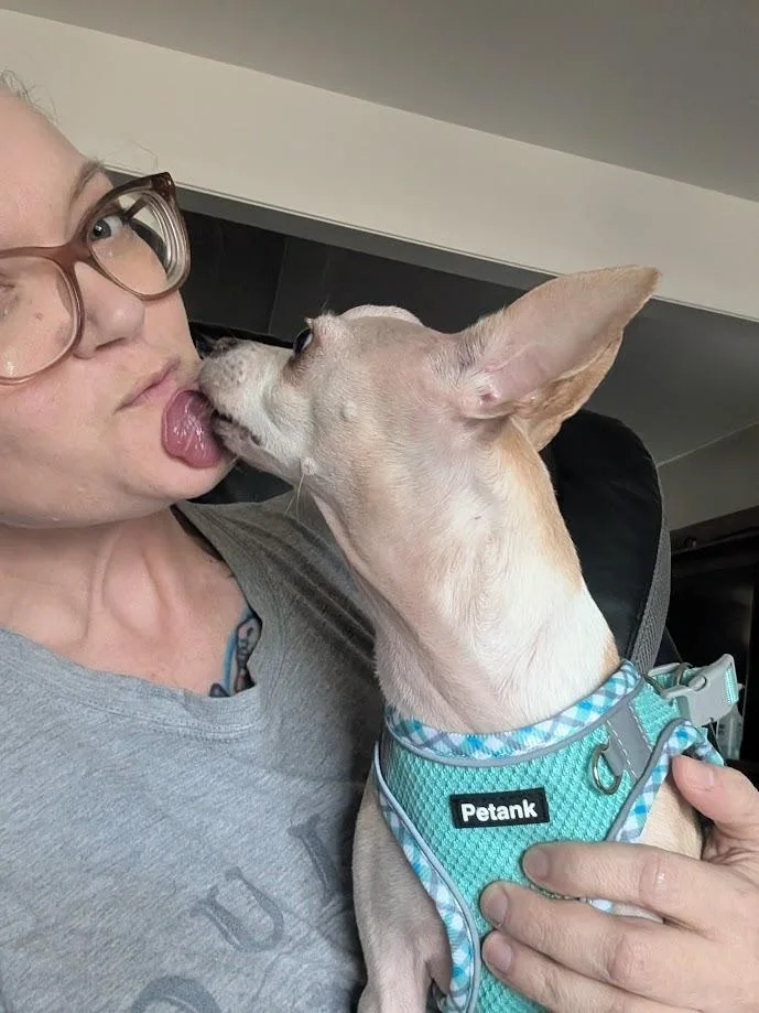 Calliope thumbnail 3