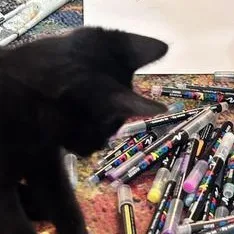 Little Bear thumbnail 4