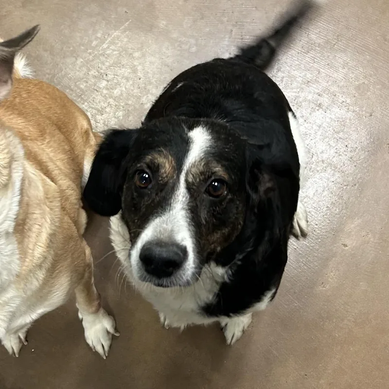 Rey w Leia thumbnail 4