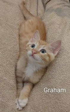 Graham & Waverly thumbnail 3