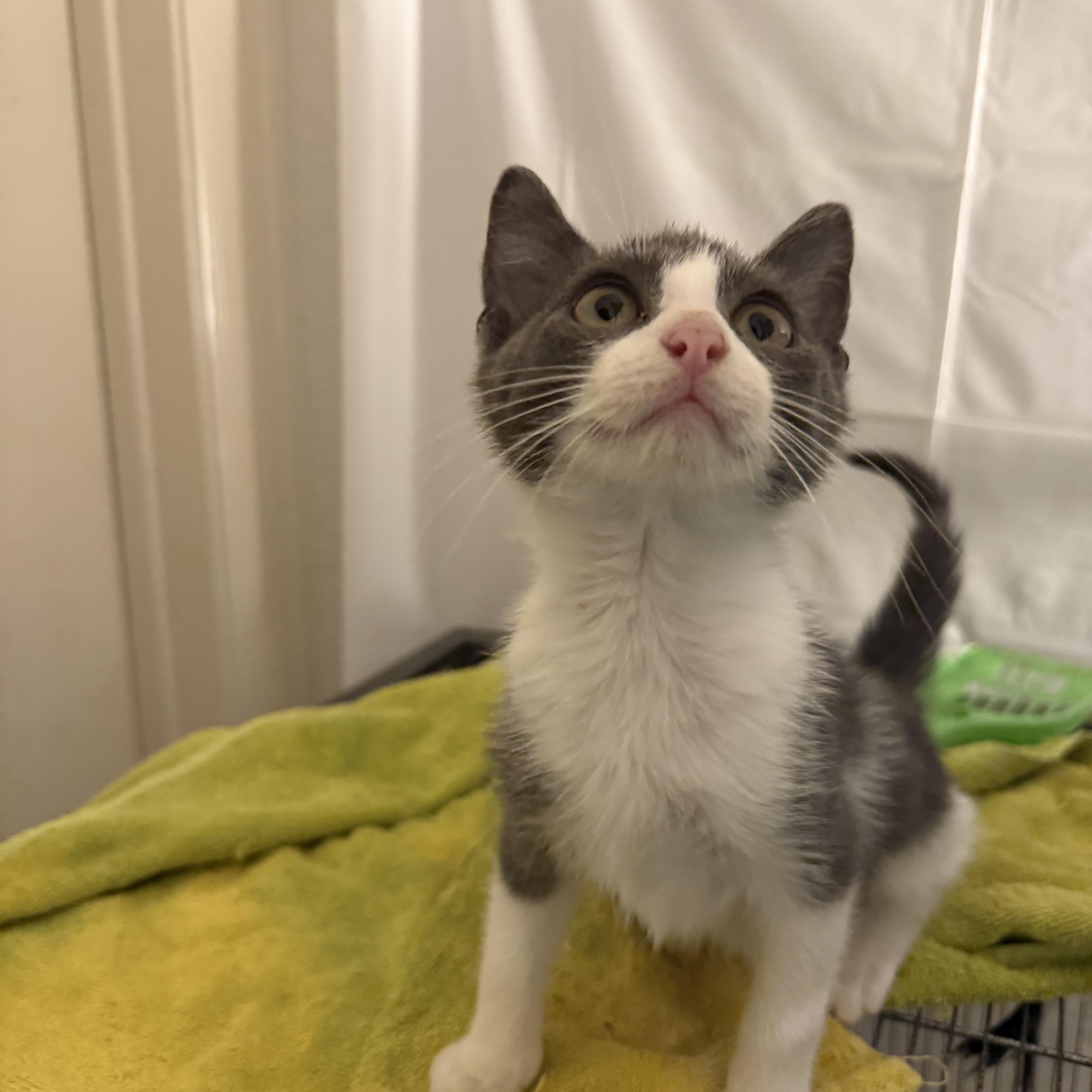 Iversoni Ort thumbnail 2