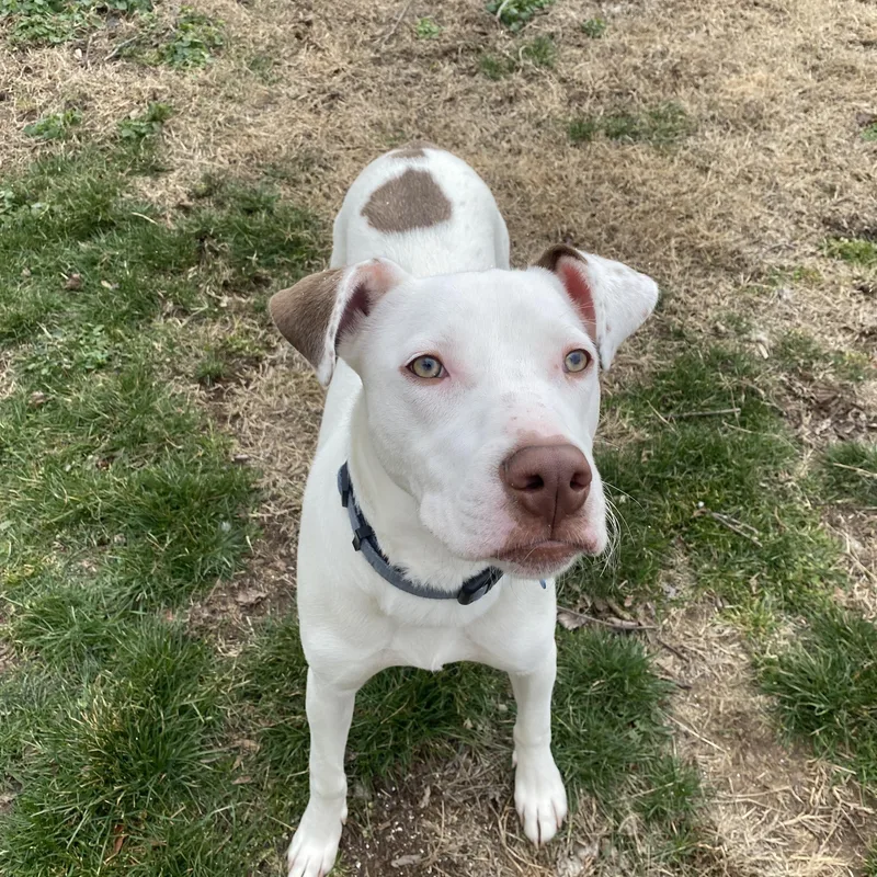 Big Slice thumbnail 3