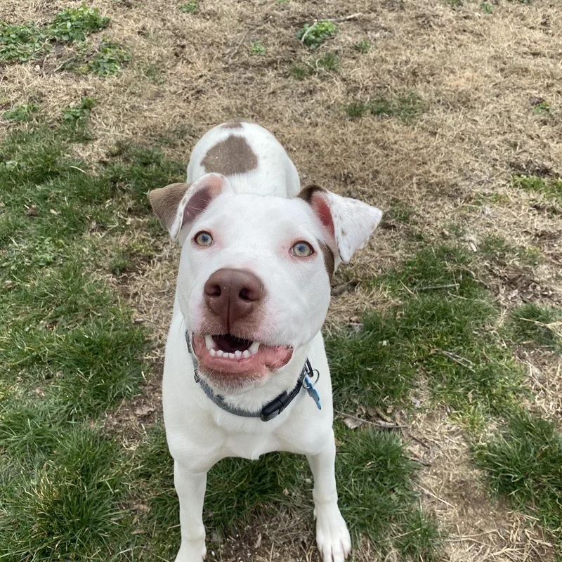 Big Slice thumbnail 4