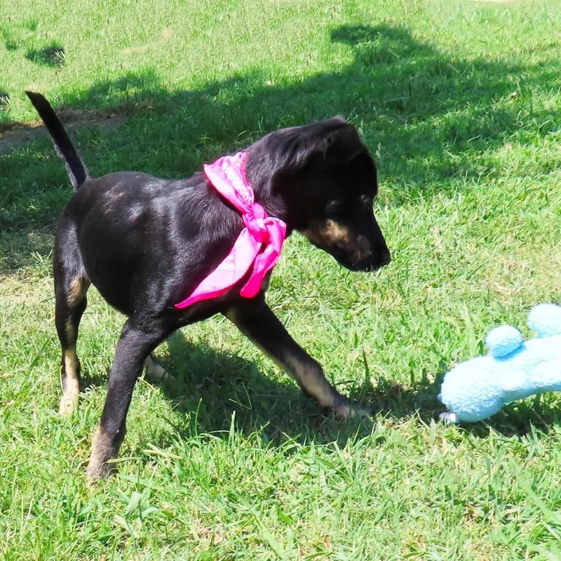 Lexi thumbnail 5