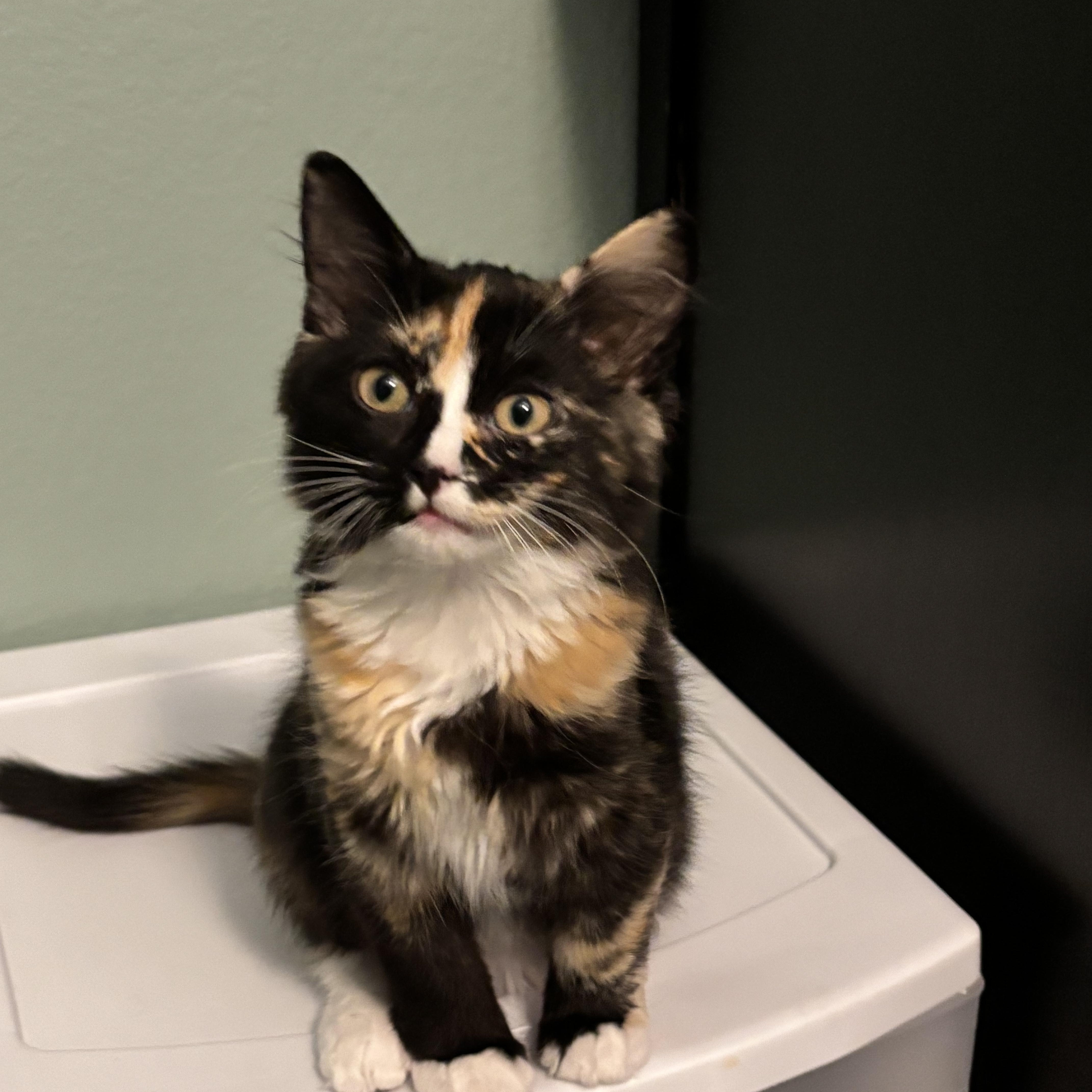 Snickers  The Sweetest thumbnail 3