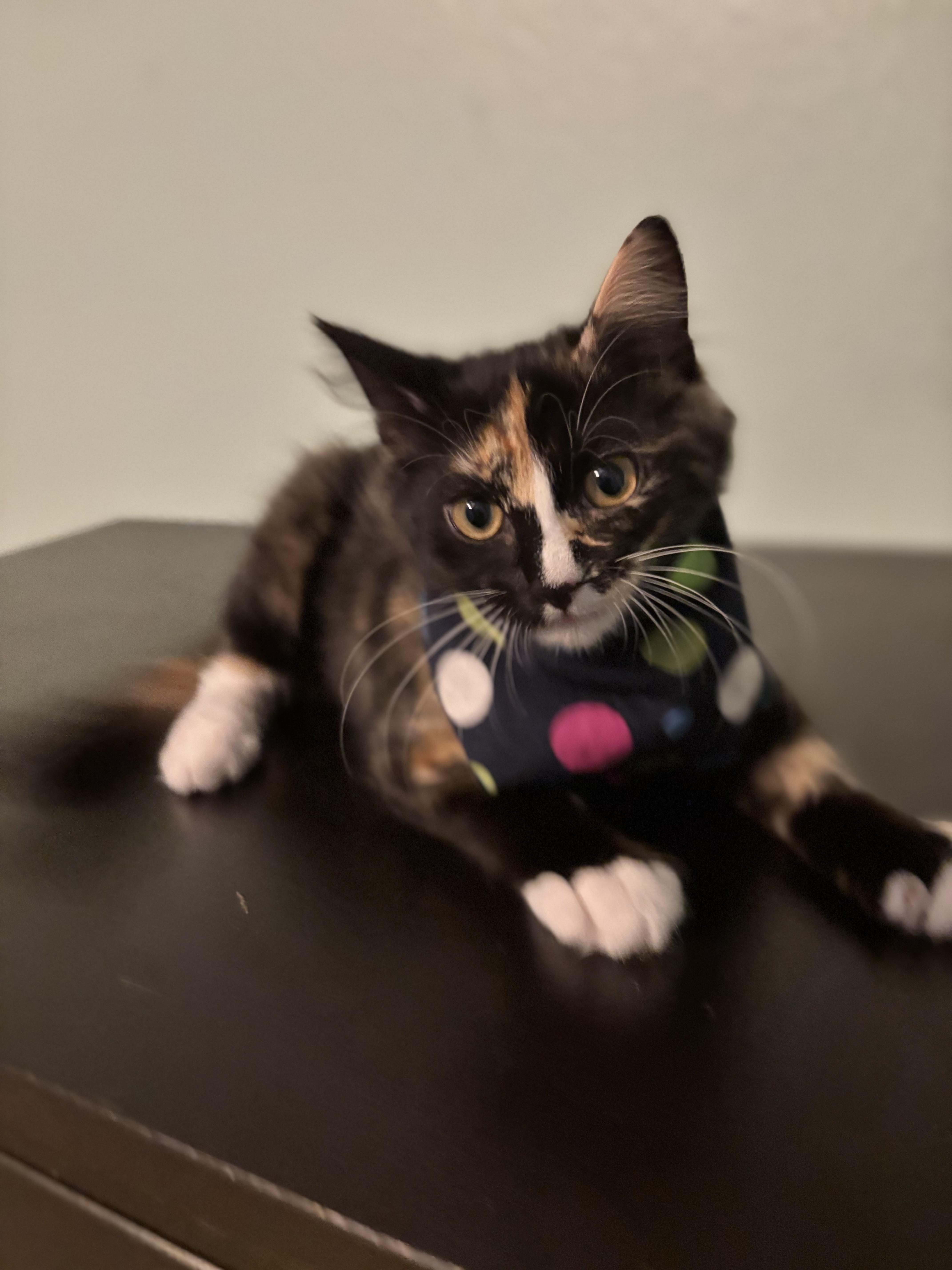 Snickers  The Sweetest thumbnail 4