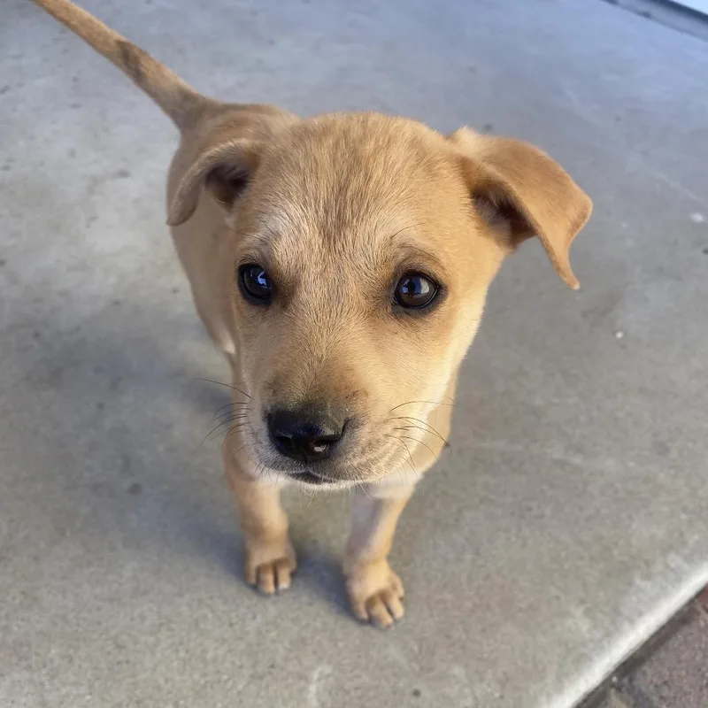 Princeton thumbnail 2