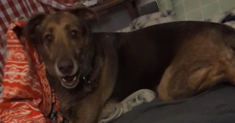 Cameron Aka Cammie thumbnail 2