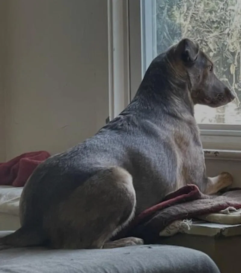 Cameron Aka Cammie thumbnail 3